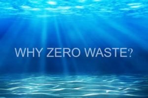 What's Zero waste?